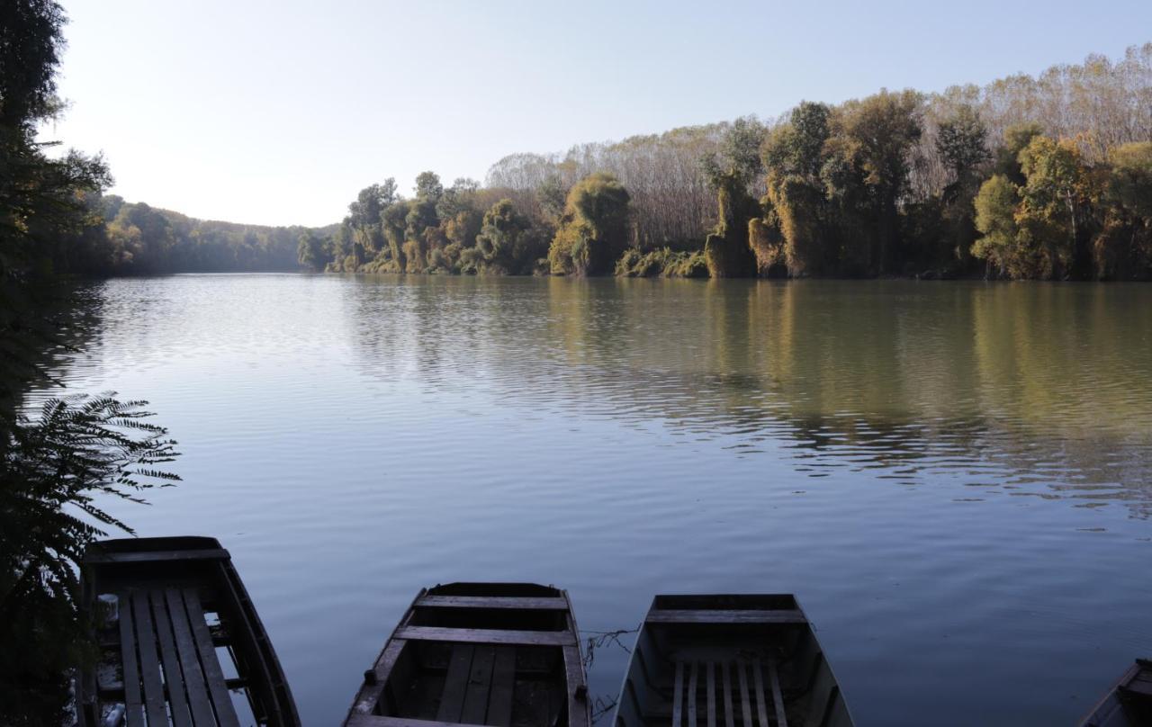 Öko Kemping és Glamping Tiszadada Extérieur photo